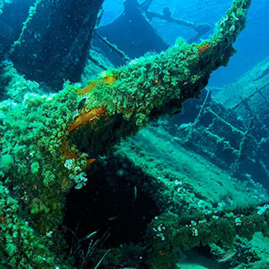 discover scuba diving elba